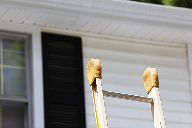 Best Engineered Wood Siding  in Payson, UT